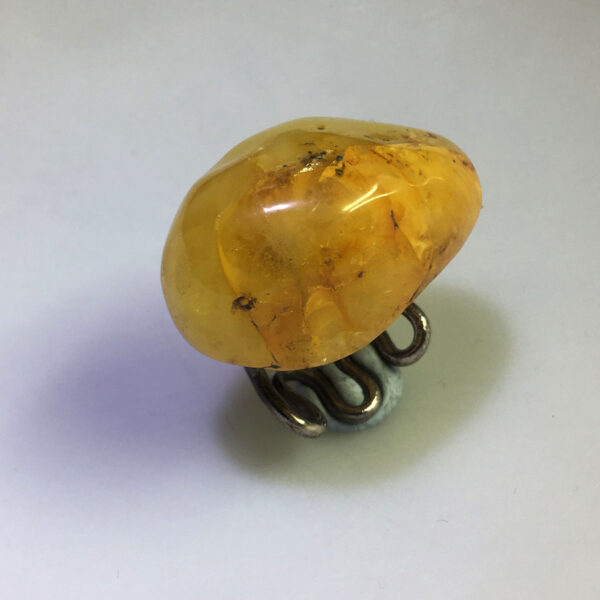 anello ambra 01web 2