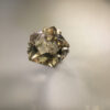 IMG_7394 IMG_7394
