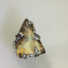 IMG_7548 IMG_7548