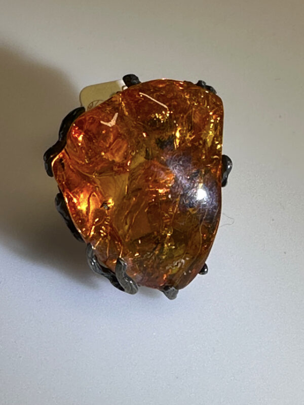 anello ambra 12web 2