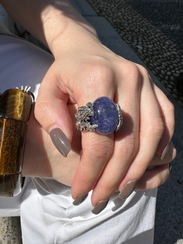IMG_8132 IMG_8132
