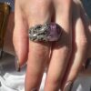 IMG_8140 IMG_8140