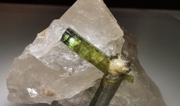 2b3d5b81-294e-4105-a786-c737834626f0