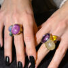 anello dei fiori e delle stelle4