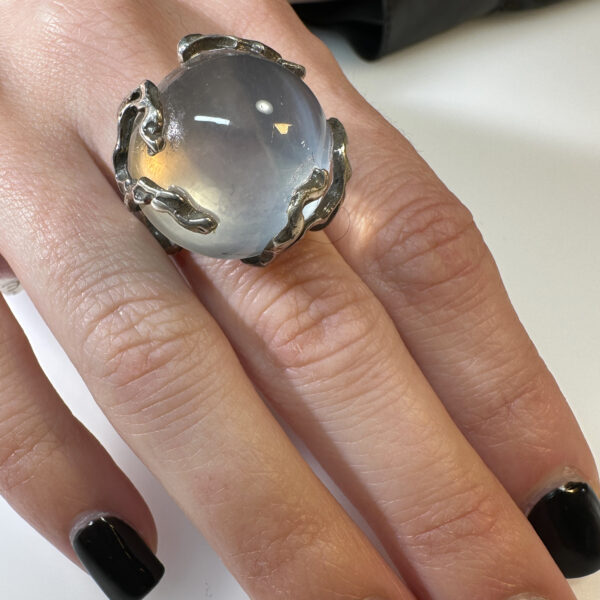 anello ramo di fuocogatteggiante 2 anello ramo di fuocogatteggiante 2