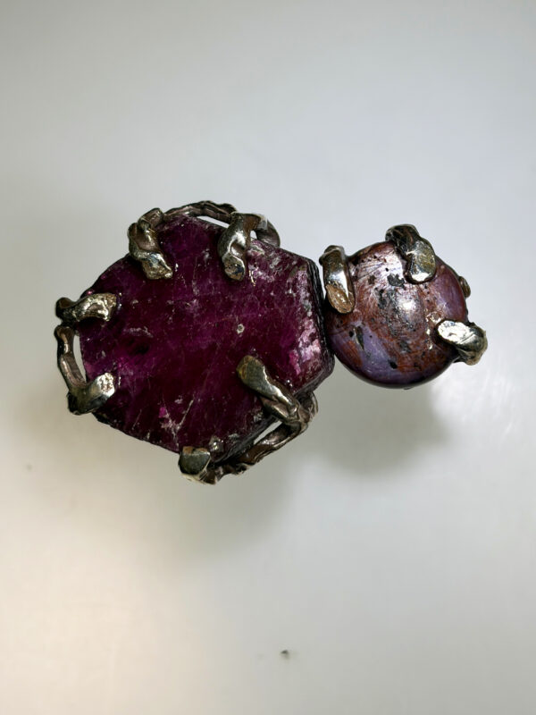 anello dell evoluzione rubino 4 anello dell evoluzione rubino 4