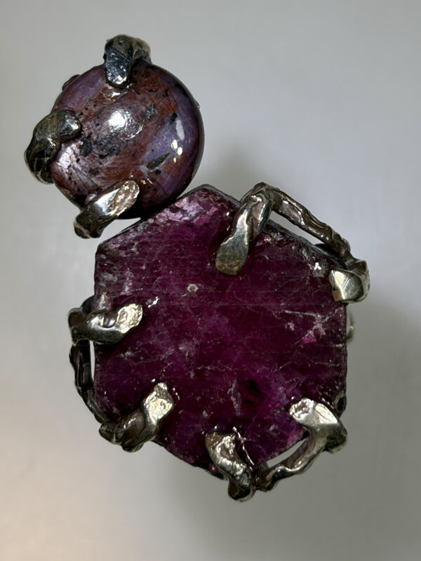 anello dell evoluzione rubino 5 anello dell evoluzione rubino 5